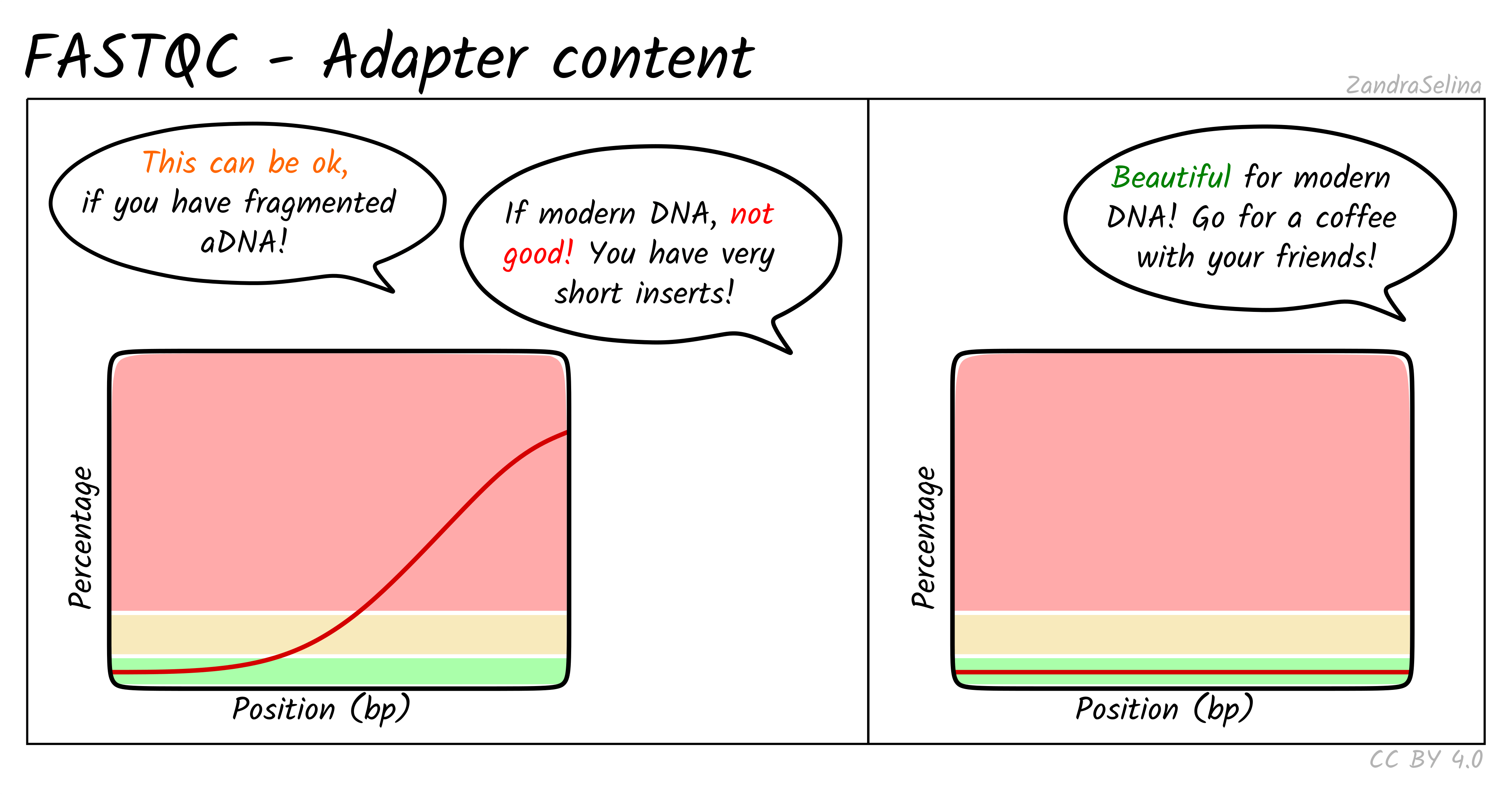 Adapter content patterns: rising curve from short inserts versus a flat near-zero curve for clean modern data