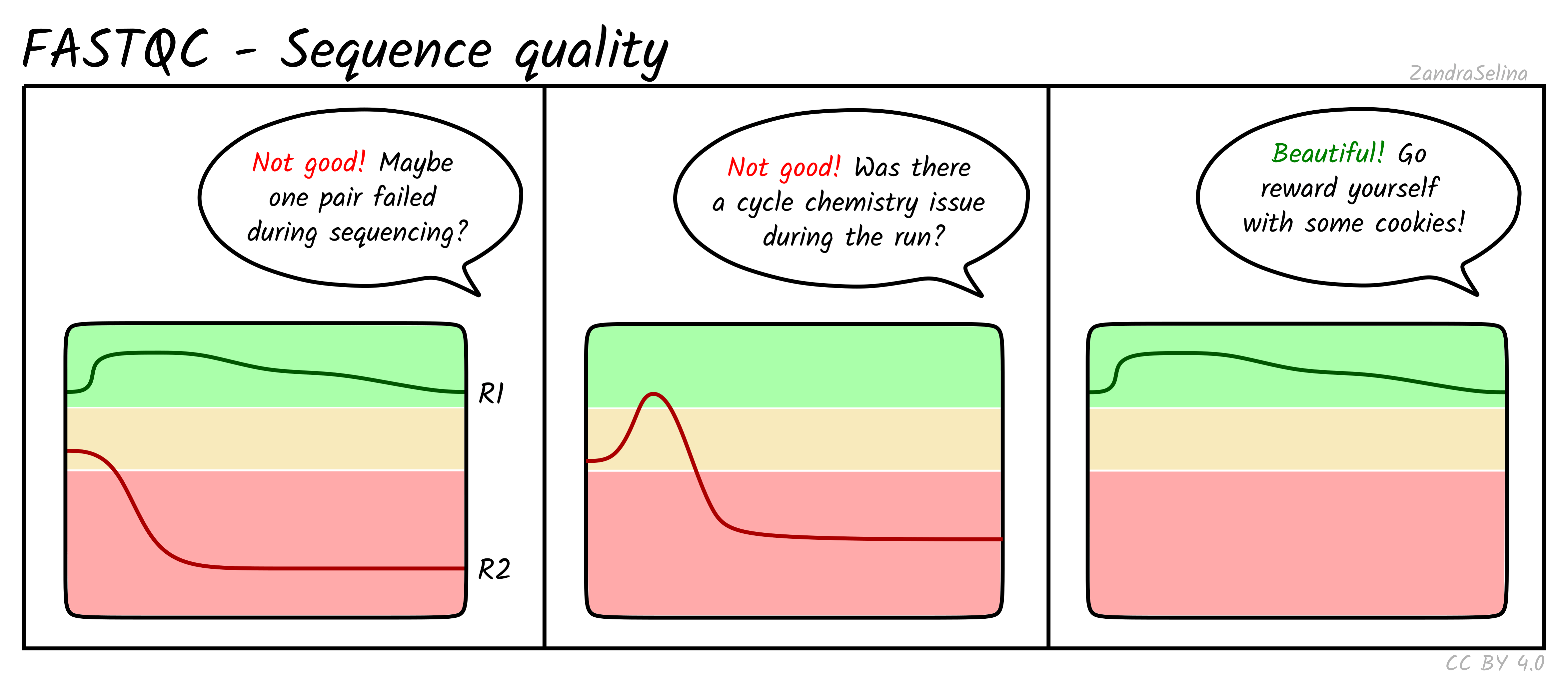FastQC per-base quality patterns: healthy R1/R2, mid-read cycle drop, and a failed R2 pair