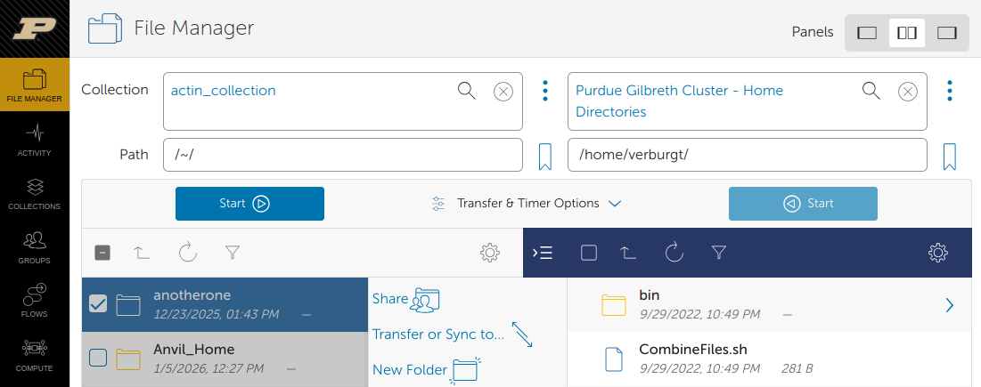 globus_transfer