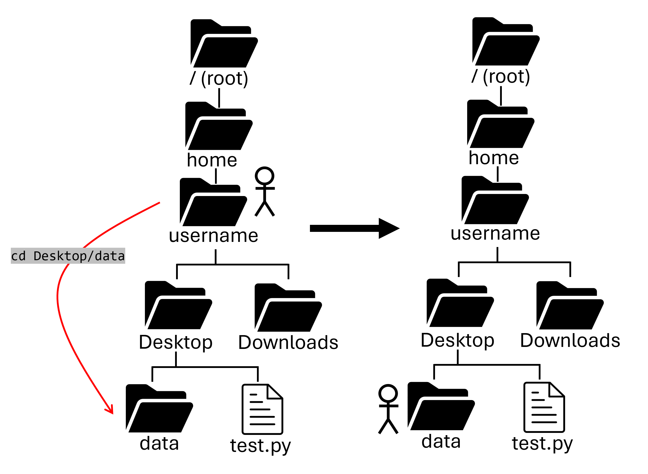 Image of a filesystem showing a users working directory change after running the cd command